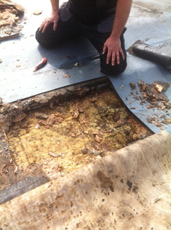 Henningsdorf Brandenburg Bauratschläge Hoffmann - Expertenrat Expertentips beim Hausneubau, beim Ausbauen, beim Sanieren, beim Umbauen gibt es tausend Dinge zu durchdenken. Von gesetzlichen Vorgaben bis zur Energieeffizienz, bei der Planung und der  Bauausführung gibt es unzählige Vorgaben und Vorschriften zu beachten. Bauratschläge für  Berlin, Velten, Oberkrämer, Birkenwerder, Falkensee, Brieselang, Schönwalde-Glien, Nauen, Oranienburg, 